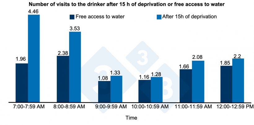 Figure 1. Number of visits to the drinker after 15 h of deprivation&nbsp;or free access to water.
